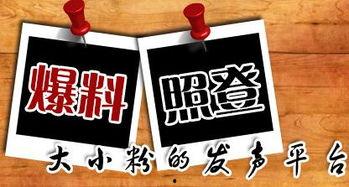 新闻爆料配乐叫什么,那首让人难忘的旋律究竟叫什么？